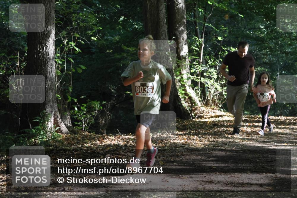 28.09.2025 - 33. Volkslauf durch das schöne Alstertal Strokosch-Dieckow http://msf.ph/oto/8967704 28.09.2025 10:41:47 Laufen 6036, 6009 meine-sportfotos.de