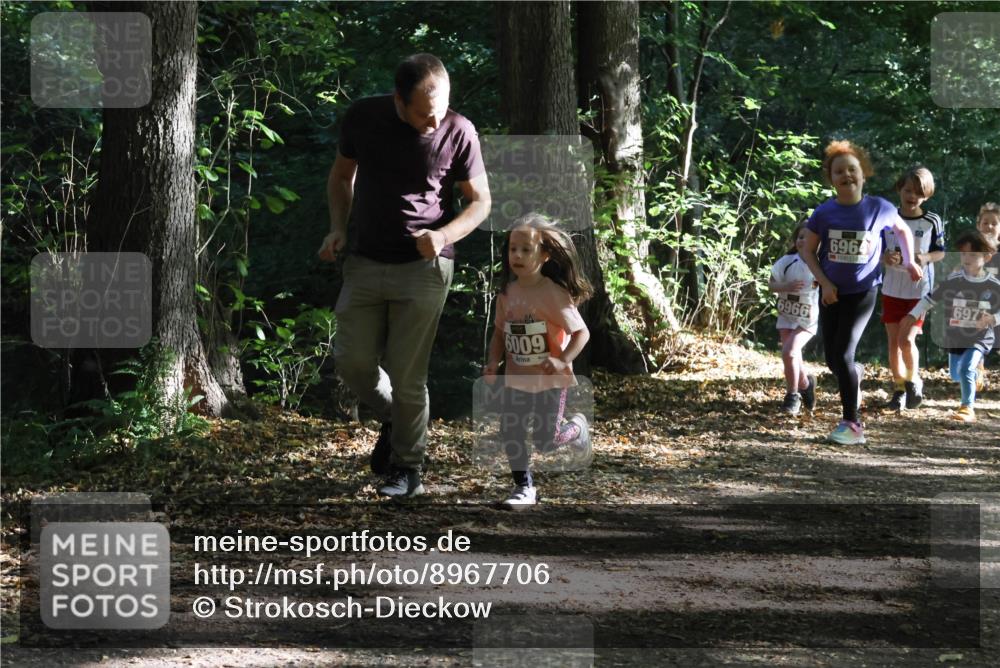 28.09.2025 - 33. Volkslauf durch das schöne Alstertal Strokosch-Dieckow http://msf.ph/oto/8967706 28.09.2025 10:41:49 Laufen 6009, 6966, 6964, 697 meine-sportfotos.de