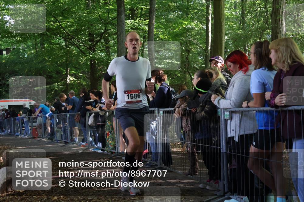 28.09.2025 - 33. Volkslauf durch das schöne Alstertal Strokosch-Dieckow http://msf.ph/oto/8967707 28.09.2025 11:45:05 Ziel 1586 meine-sportfotos.de