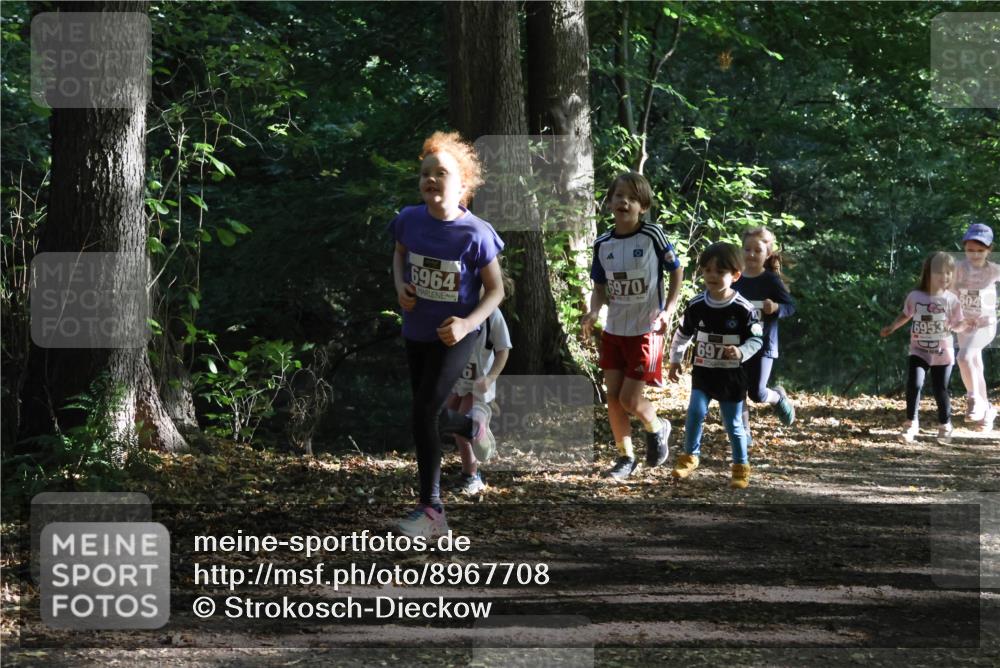 28.09.2025 - 33. Volkslauf durch das schöne Alstertal Strokosch-Dieckow http://msf.ph/oto/8967708 28.09.2025 10:41:50 Laufen 6964, 6970, 697, 6953, 604 meine-sportfotos.de
