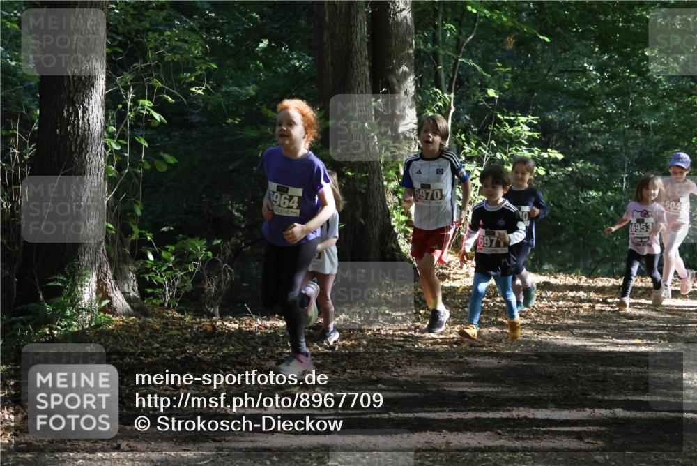 28.09.2025 - 33. Volkslauf durch das schöne Alstertal Strokosch-Dieckow http://msf.ph/oto/8967709 28.09.2025 10:41:50 Laufen 964, 6970, 6953, 604 meine-sportfotos.de