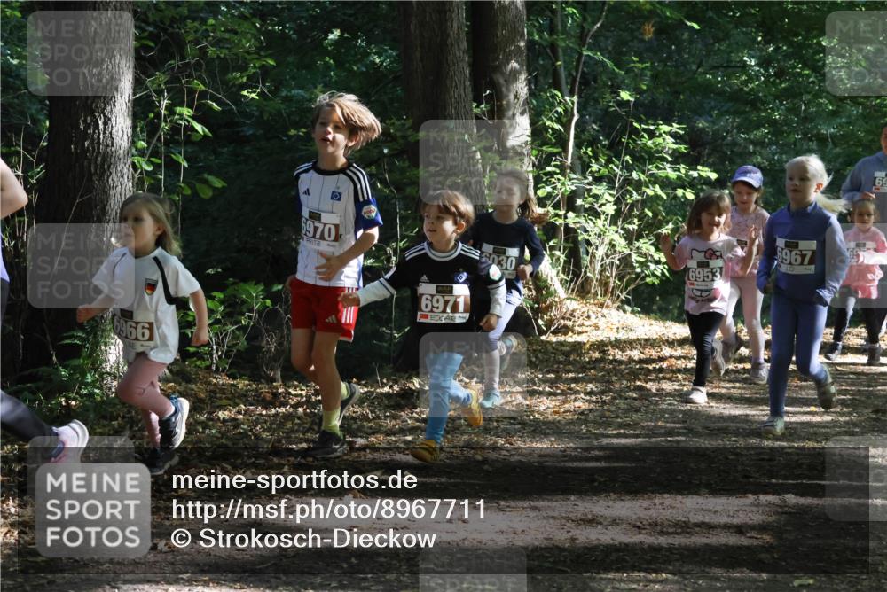 28.09.2025 - 33. Volkslauf durch das schöne Alstertal Strokosch-Dieckow http://msf.ph/oto/8967711 28.09.2025 10:41:51 Laufen 6966, 6970, 6971, 6030, 6953, 6967, 69 meine-sportfotos.de