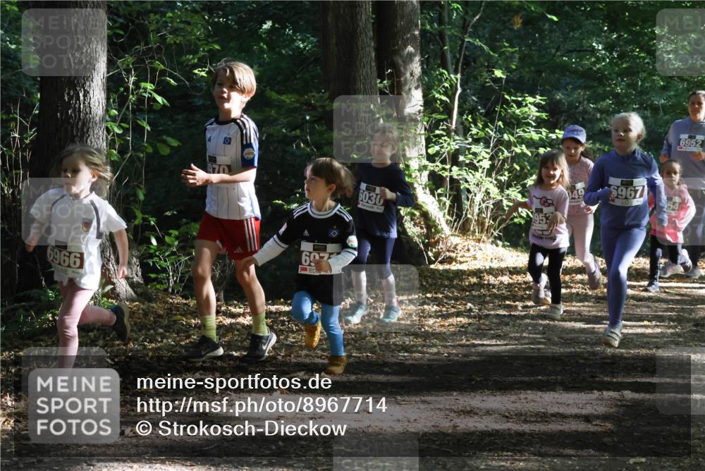28.09.2025 - 33. Volkslauf durch das schöne Alstertal Strokosch-Dieckow http://msf.ph/oto/8967714 28.09.2025 10:41:51 Laufen 6966, 697, 6030, 953, 967, 6952 meine-sportfotos.de