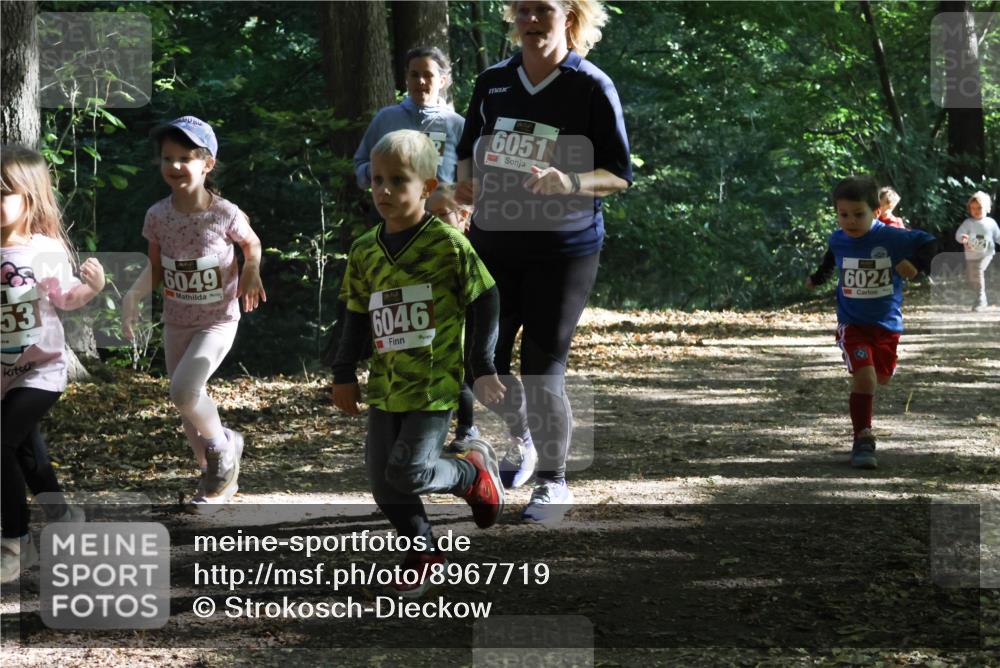 28.09.2025 - 33. Volkslauf durch das schöne Alstertal Strokosch-Dieckow http://msf.ph/oto/8967719 28.09.2025 10:41:53 Laufen 53, 6049, 6046, 6051, 6024 meine-sportfotos.de