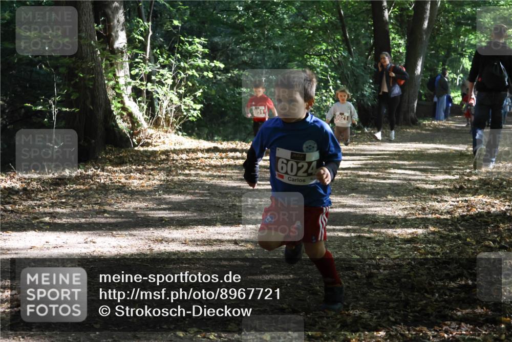 28.09.2025 - 33. Volkslauf durch das schöne Alstertal Strokosch-Dieckow http://msf.ph/oto/8967721 28.09.2025 10:41:54 Laufen 951, 79, 6024, 6021 meine-sportfotos.de