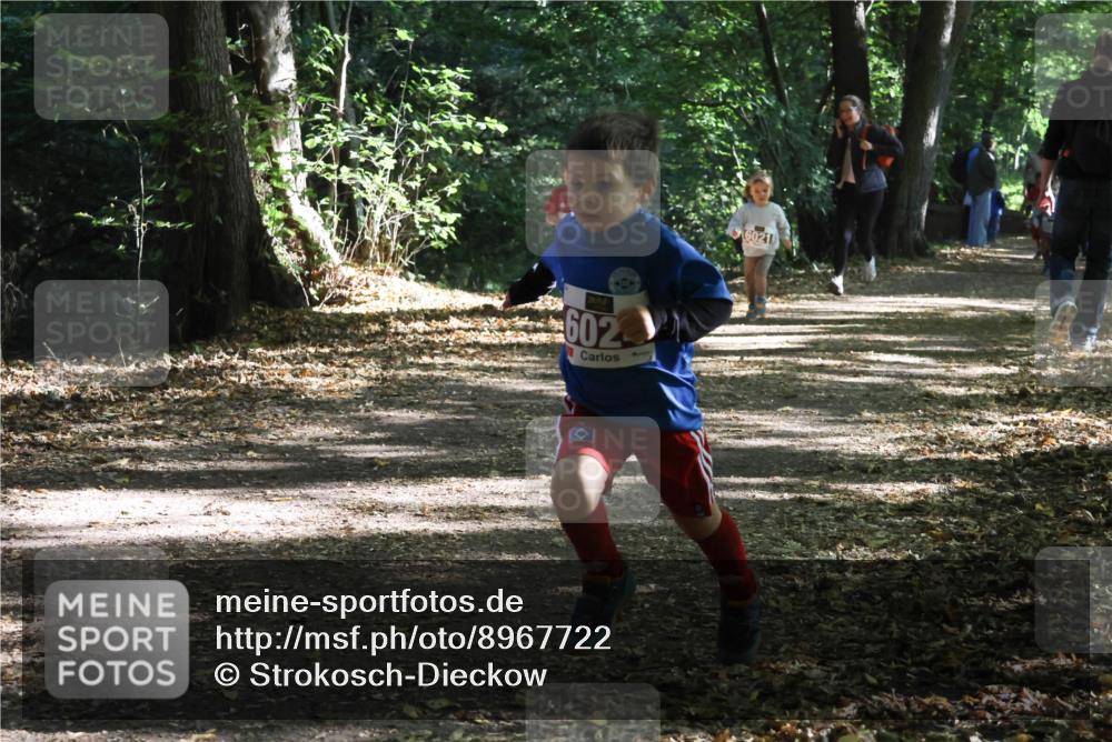 28.09.2025 - 33. Volkslauf durch das schöne Alstertal Strokosch-Dieckow http://msf.ph/oto/8967722 28.09.2025 10:41:54 Laufen 602, 6021 meine-sportfotos.de