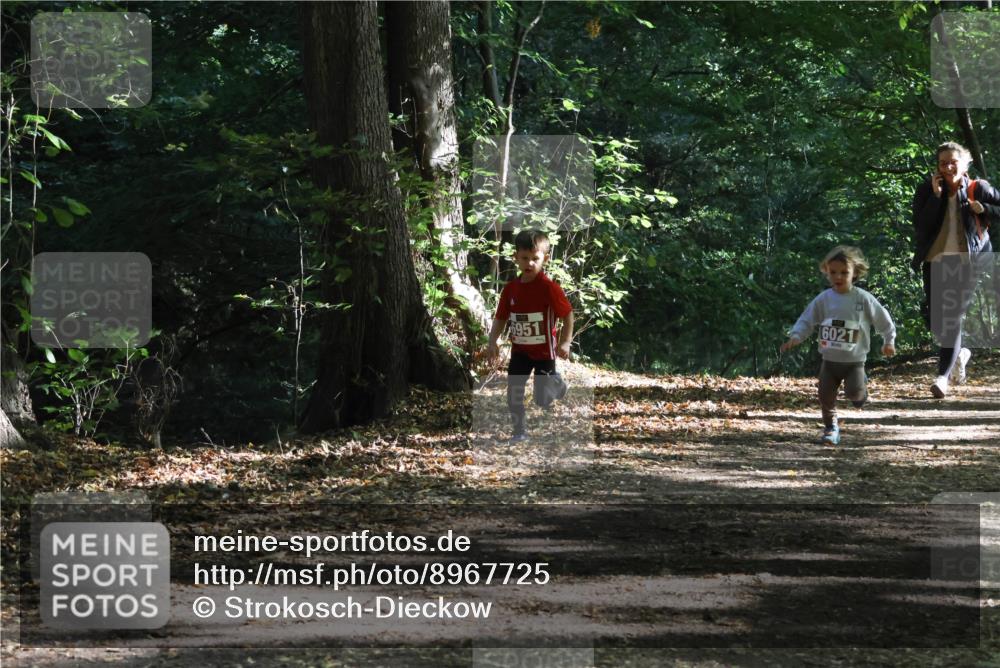 28.09.2025 - 33. Volkslauf durch das schöne Alstertal Strokosch-Dieckow http://msf.ph/oto/8967725 28.09.2025 10:41:55 Laufen 6951, 6021 meine-sportfotos.de