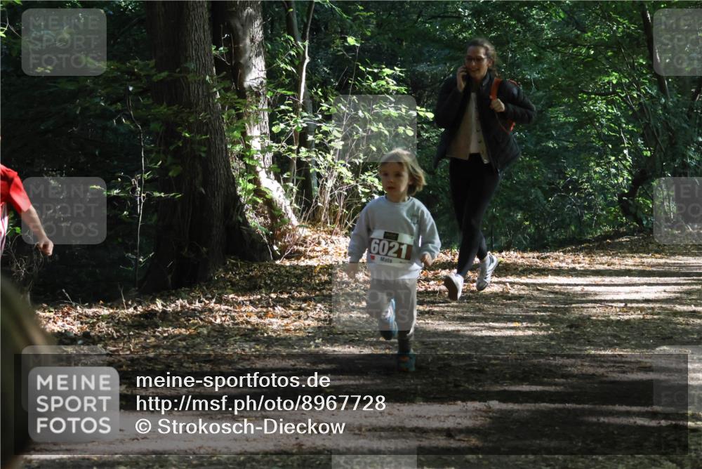 28.09.2025 - 33. Volkslauf durch das schöne Alstertal Strokosch-Dieckow http://msf.ph/oto/8967728 28.09.2025 10:41:57 Laufen 6021 meine-sportfotos.de