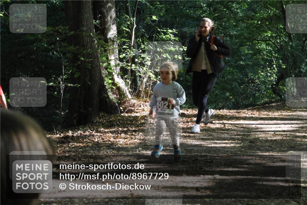 28.09.2025 - 33. Volkslauf durch das schöne Alstertal Strokosch-Dieckow http://msf.ph/oto/8967729 28.09.2025 10:41:57 Laufen 6021 meine-sportfotos.de