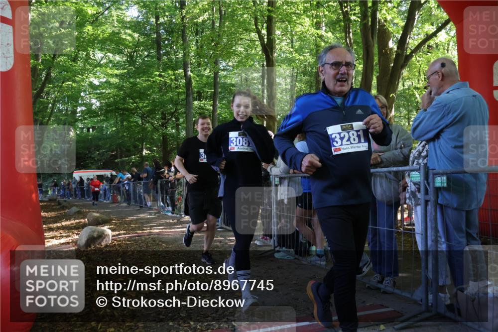 28.09.2025 - 33. Volkslauf durch das schöne Alstertal Strokosch-Dieckow http://msf.ph/oto/8967745 28.09.2025 11:45:24 Ziel 3040, 3087, 3289 meine-sportfotos.de