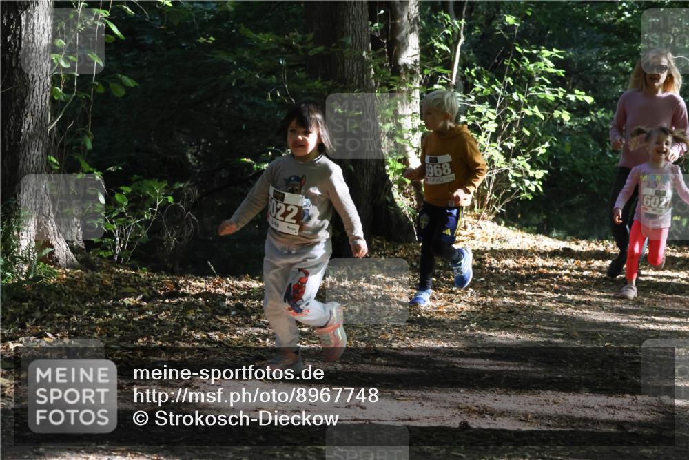 28.09.2025 - 33. Volkslauf durch das schöne Alstertal Strokosch-Dieckow http://msf.ph/oto/8967748 28.09.2025 10:42:07 Laufen 022, 6968, 6027 meine-sportfotos.de
