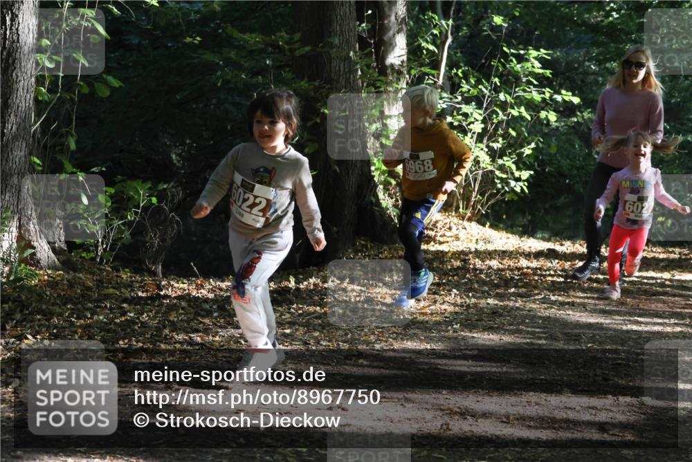 28.09.2025 - 33. Volkslauf durch das schöne Alstertal Strokosch-Dieckow http://msf.ph/oto/8967750 28.09.2025 10:42:07 Laufen 60224, 6968, 602 meine-sportfotos.de