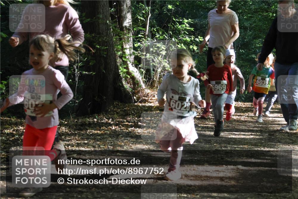 28.09.2025 - 33. Volkslauf durch das schöne Alstertal Strokosch-Dieckow http://msf.ph/oto/8967752 28.09.2025 10:42:09 Laufen 60, 6028, 6969, 6039 meine-sportfotos.de