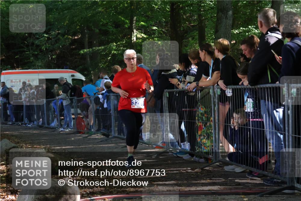 28.09.2025 - 33. Volkslauf durch das schöne Alstertal Strokosch-Dieckow http://msf.ph/oto/8967753 28.09.2025 11:45:29 Ziel 3289 meine-sportfotos.de