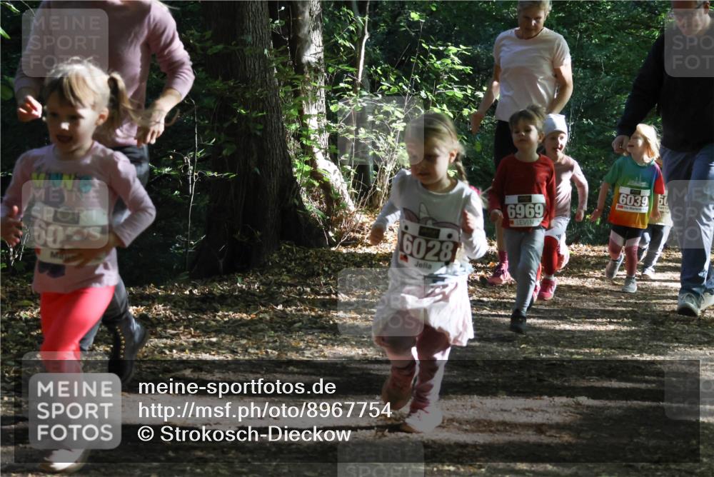 28.09.2025 - 33. Volkslauf durch das schöne Alstertal Strokosch-Dieckow http://msf.ph/oto/8967754 28.09.2025 10:42:09 Laufen 602, 6028, 6969, 6039, 50 meine-sportfotos.de