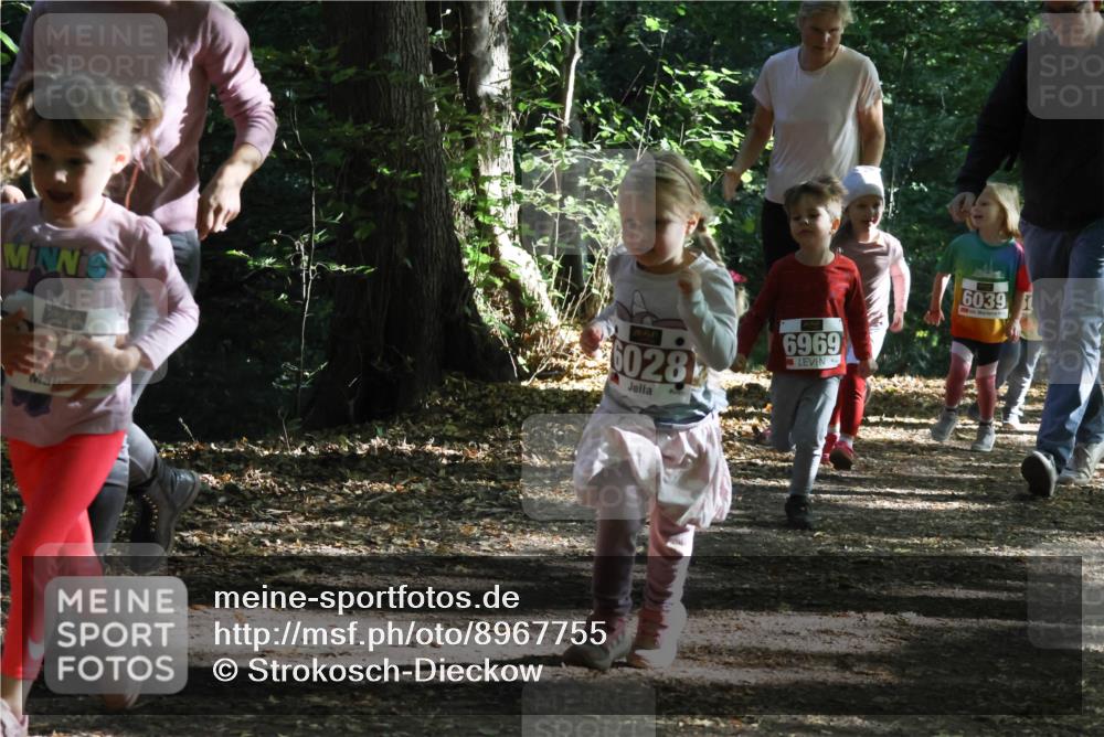 28.09.2025 - 33. Volkslauf durch das schöne Alstertal Strokosch-Dieckow http://msf.ph/oto/8967755 28.09.2025 10:42:09 Laufen 6028, 6969, 6039 meine-sportfotos.de