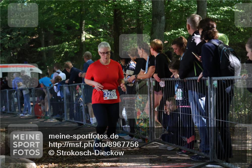 28.09.2025 - 33. Volkslauf durch das schöne Alstertal Strokosch-Dieckow http://msf.ph/oto/8967756 28.09.2025 11:45:30 Ziel 3289 meine-sportfotos.de