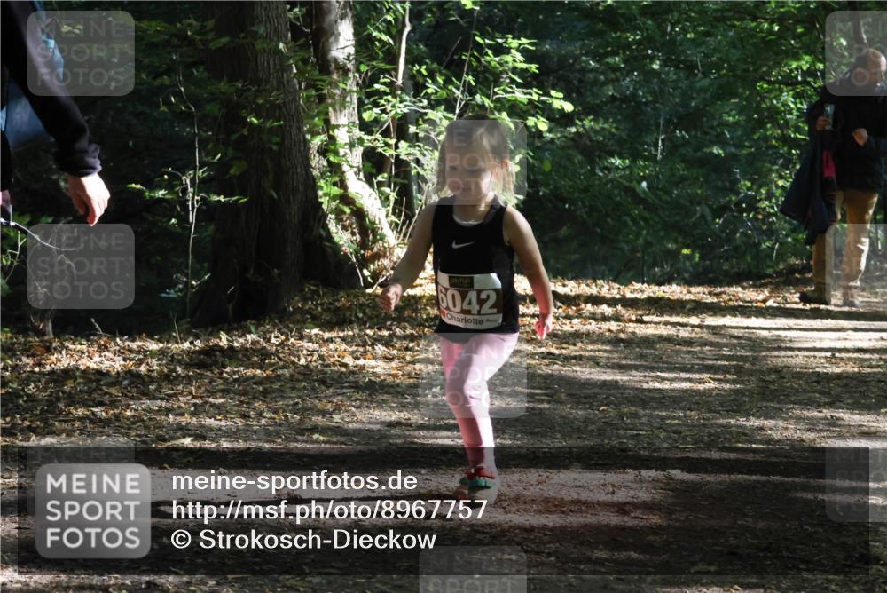 28.09.2025 - 33. Volkslauf durch das schöne Alstertal Strokosch-Dieckow http://msf.ph/oto/8967757 28.09.2025 10:42:16 Laufen 042 meine-sportfotos.de