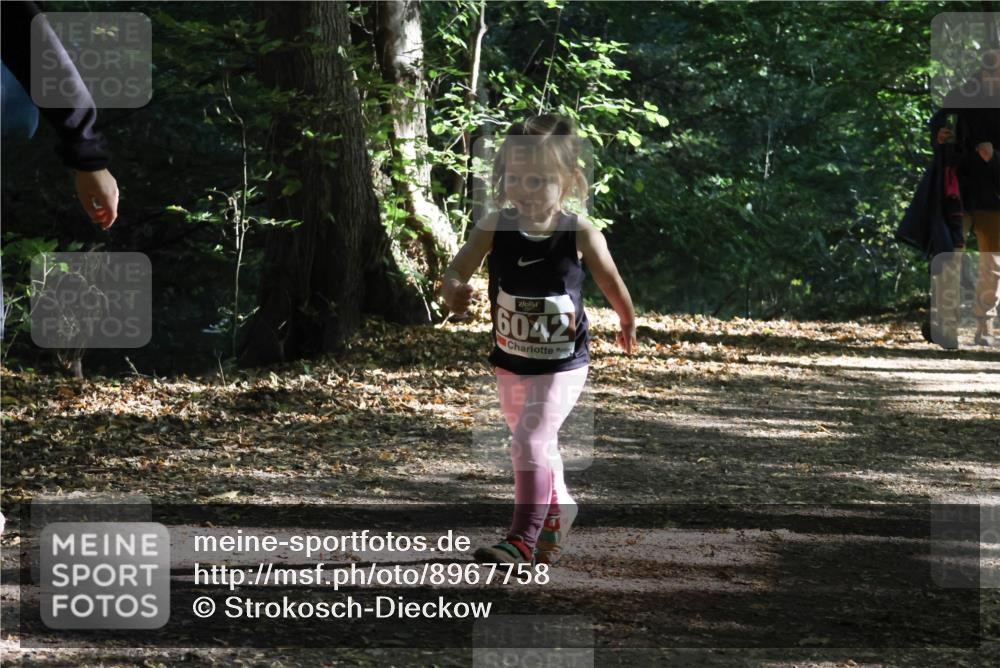 28.09.2025 - 33. Volkslauf durch das schöne Alstertal Strokosch-Dieckow http://msf.ph/oto/8967758 28.09.2025 10:42:16 Laufen 6042 meine-sportfotos.de