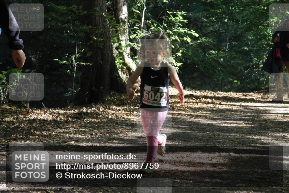 28.09.2025 - 33. Volkslauf durch das schöne Alstertal Strokosch-Dieckow http://msf.ph/oto/8967759 28.09.2025 10:42:16 Laufen 60425 meine-sportfotos.de