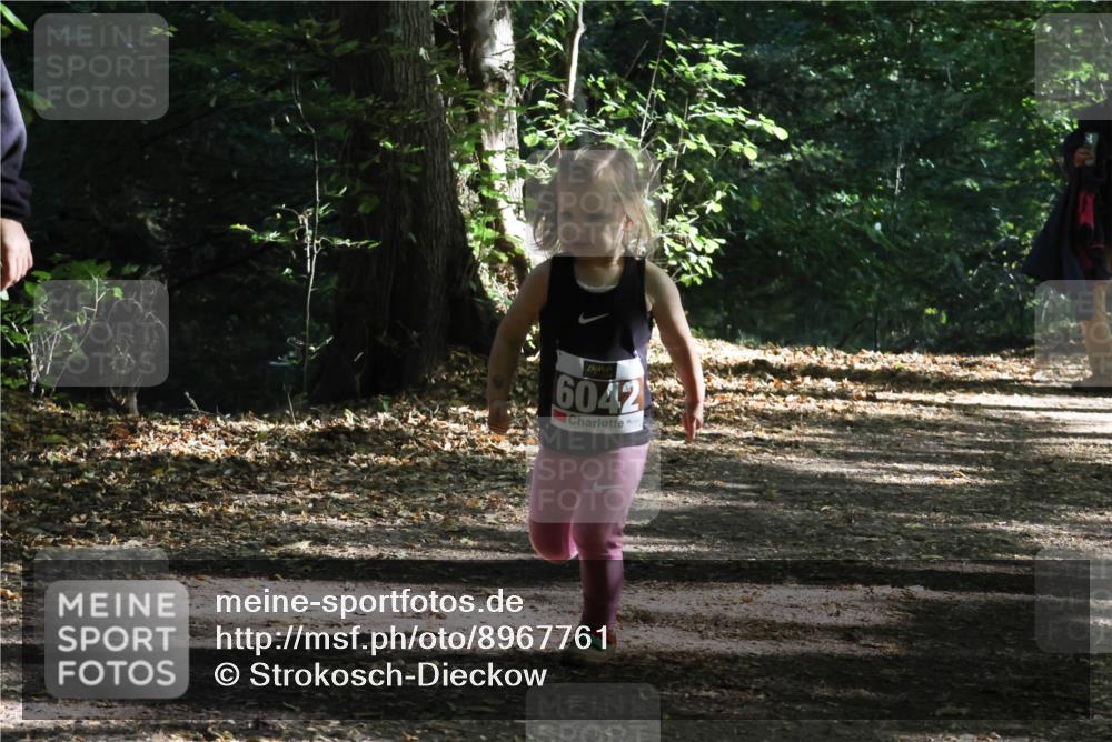 28.09.2025 - 33. Volkslauf durch das schöne Alstertal Strokosch-Dieckow http://msf.ph/oto/8967761 28.09.2025 10:42:16 Laufen 6042 meine-sportfotos.de