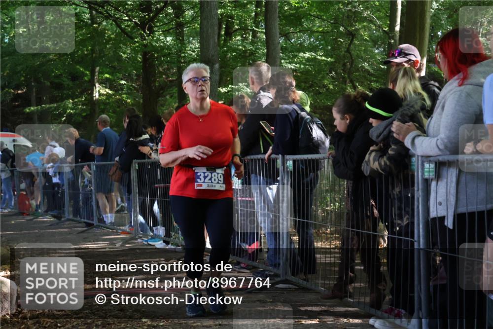 28.09.2025 - 33. Volkslauf durch das schöne Alstertal Strokosch-Dieckow http://msf.ph/oto/8967764 28.09.2025 11:45:31 Ziel 3289 meine-sportfotos.de