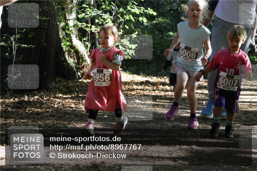 28.09.2025 - 33. Volkslauf durch das schöne Alstertal Strokosch-Dieckow http://msf.ph/oto/8967767 28.09.2025 10:42:23 Laufen 6956, 6, 6006, 10, 6007 meine-sportfotos.de