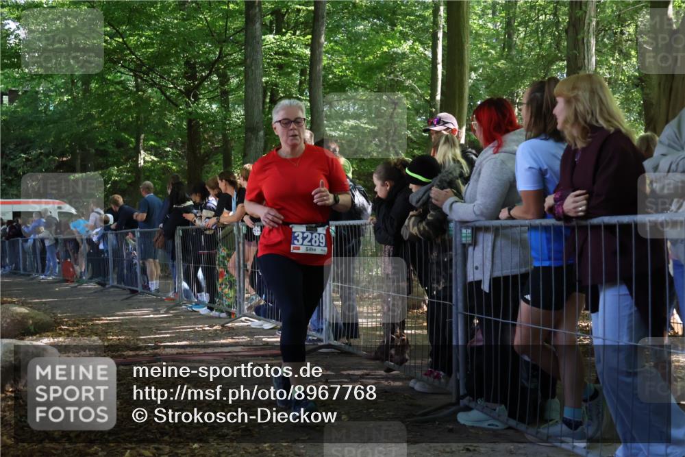 28.09.2025 - 33. Volkslauf durch das schöne Alstertal Strokosch-Dieckow http://msf.ph/oto/8967768 28.09.2025 11:45:31 Ziel 3289 meine-sportfotos.de