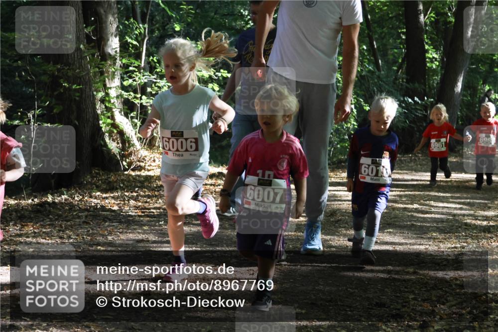 28.09.2025 - 33. Volkslauf durch das schöne Alstertal Strokosch-Dieckow http://msf.ph/oto/8967769 28.09.2025 10:42:24 Laufen 46006, 8889, 6010, 6007, 696, 6961 meine-sportfotos.de