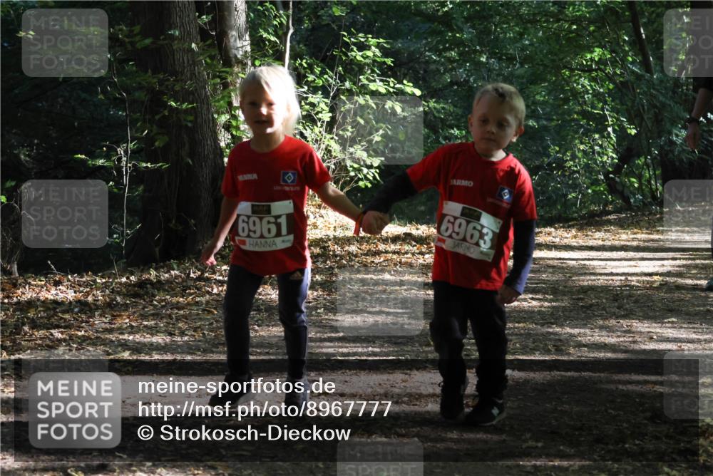 28.09.2025 - 33. Volkslauf durch das schöne Alstertal Strokosch-Dieckow http://msf.ph/oto/8967777 28.09.2025 10:42:29 Laufen 6961, 6963 meine-sportfotos.de