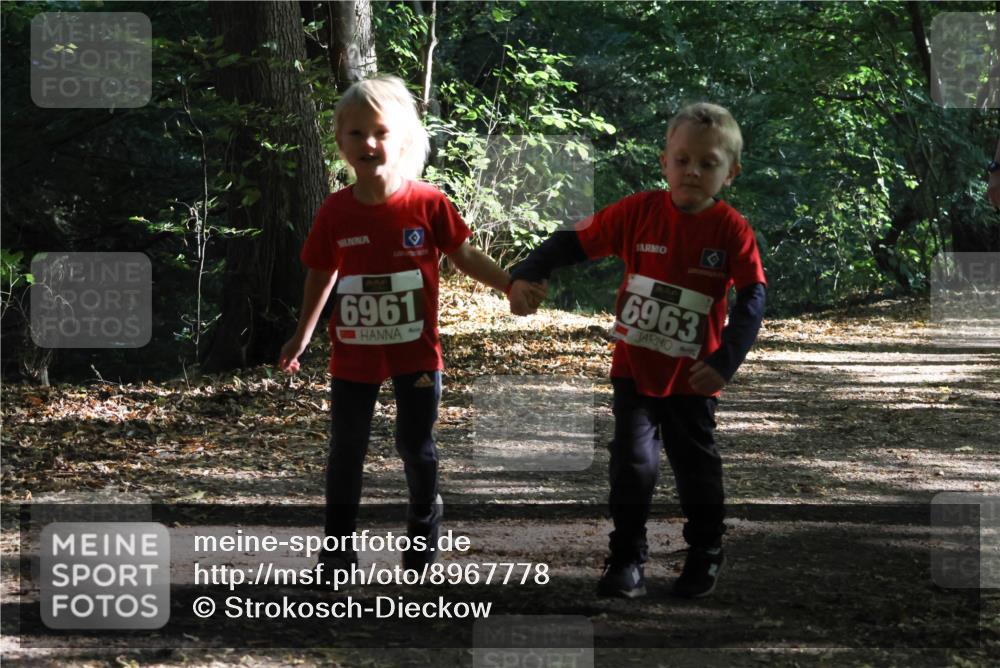 28.09.2025 - 33. Volkslauf durch das schöne Alstertal Strokosch-Dieckow http://msf.ph/oto/8967778 28.09.2025 10:42:29 Laufen 6961, 6963 meine-sportfotos.de