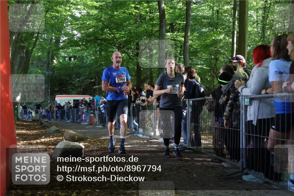 28.09.2025 - 33. Volkslauf durch das schöne Alstertal Strokosch-Dieckow http://msf.ph/oto/8967794 28.09.2025 11:45:43 Ziel 1568, 3420 meine-sportfotos.de