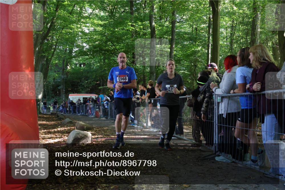 28.09.2025 - 33. Volkslauf durch das schöne Alstertal Strokosch-Dieckow http://msf.ph/oto/8967798 28.09.2025 11:45:44 Ziel 1568, 1574, 3420 meine-sportfotos.de