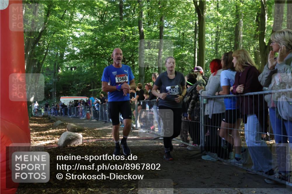 28.09.2025 - 33. Volkslauf durch das schöne Alstertal Strokosch-Dieckow http://msf.ph/oto/8967802 28.09.2025 11:45:44 Ziel 1568, 1574, 3420 meine-sportfotos.de