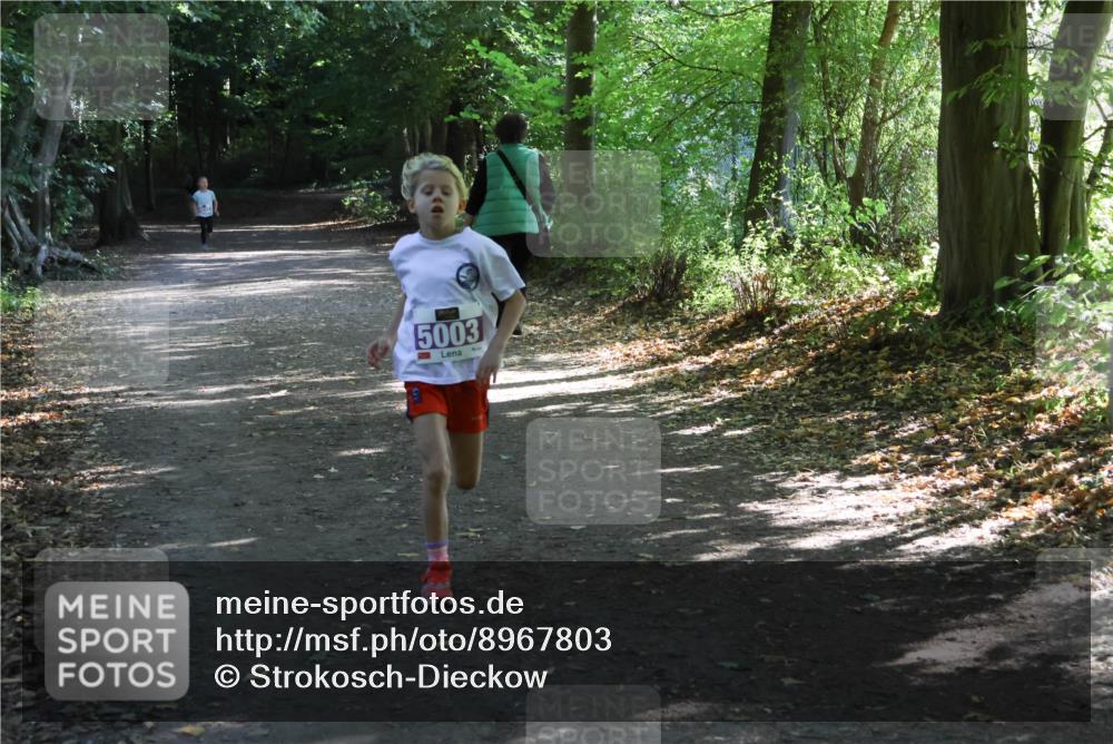 28.09.2025 - 33. Volkslauf durch das schöne Alstertal Strokosch-Dieckow http://msf.ph/oto/8967803 28.09.2025 10:44:05 Laufen 5003 meine-sportfotos.de