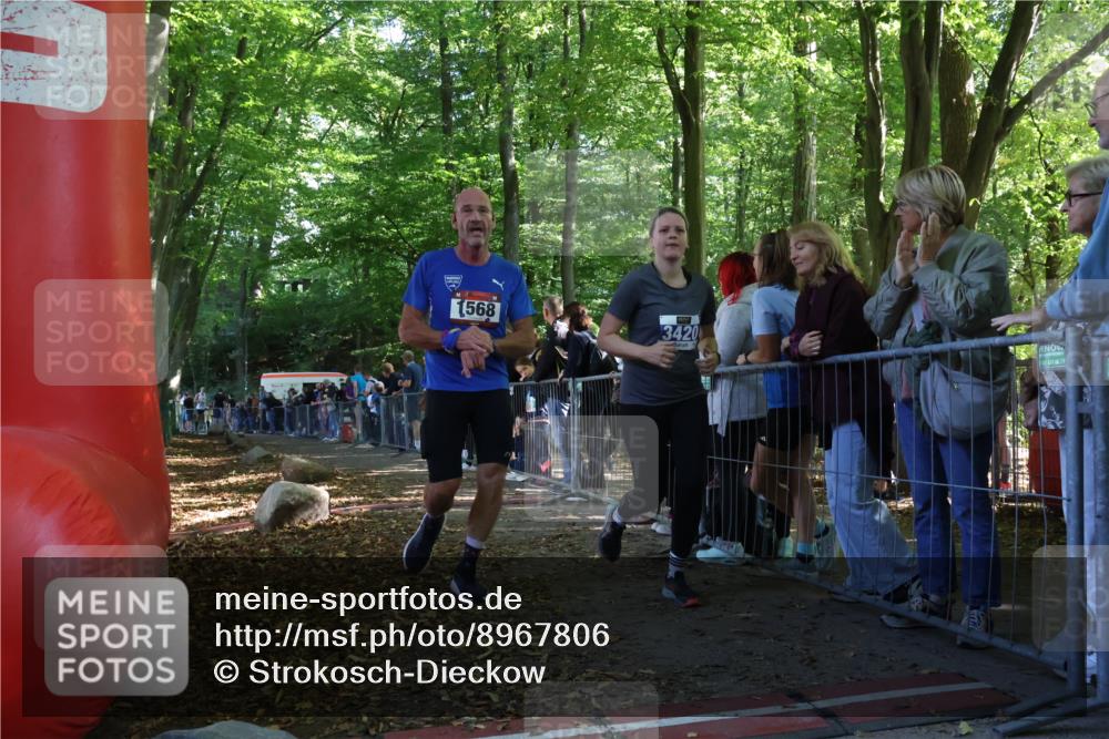 28.09.2025 - 33. Volkslauf durch das schöne Alstertal Strokosch-Dieckow http://msf.ph/oto/8967806 28.09.2025 11:45:44 Ziel 1568, 1574, 3420 meine-sportfotos.de