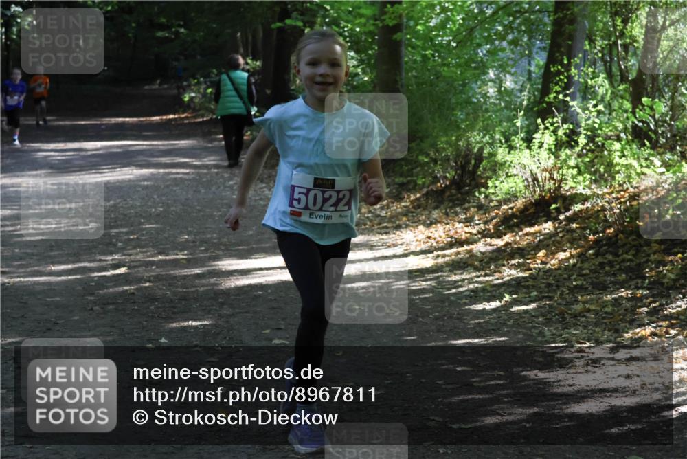 28.09.2025 - 33. Volkslauf durch das schöne Alstertal Strokosch-Dieckow http://msf.ph/oto/8967811 28.09.2025 10:44:14 Laufen 5022 meine-sportfotos.de