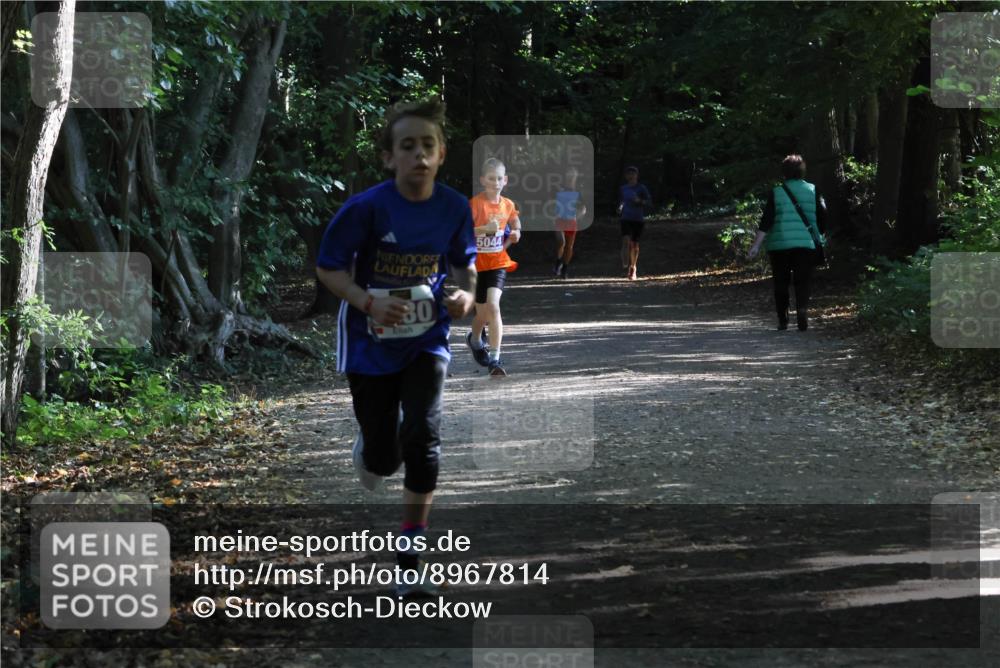 28.09.2025 - 33. Volkslauf durch das schöne Alstertal Strokosch-Dieckow http://msf.ph/oto/8967814 28.09.2025 10:44:20 Laufen 30, 5044 meine-sportfotos.de