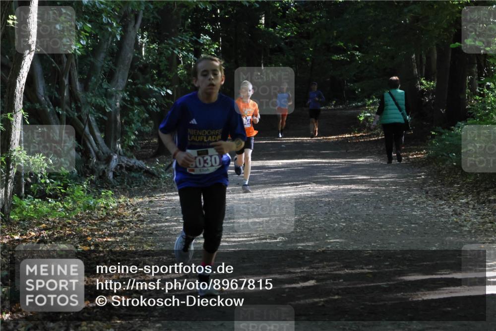 28.09.2025 - 33. Volkslauf durch das schöne Alstertal Strokosch-Dieckow http://msf.ph/oto/8967815 28.09.2025 10:44:20 Laufen 5030 meine-sportfotos.de