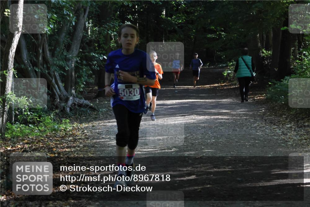 28.09.2025 - 33. Volkslauf durch das schöne Alstertal Strokosch-Dieckow http://msf.ph/oto/8967818 28.09.2025 10:44:21 Laufen 5030 meine-sportfotos.de