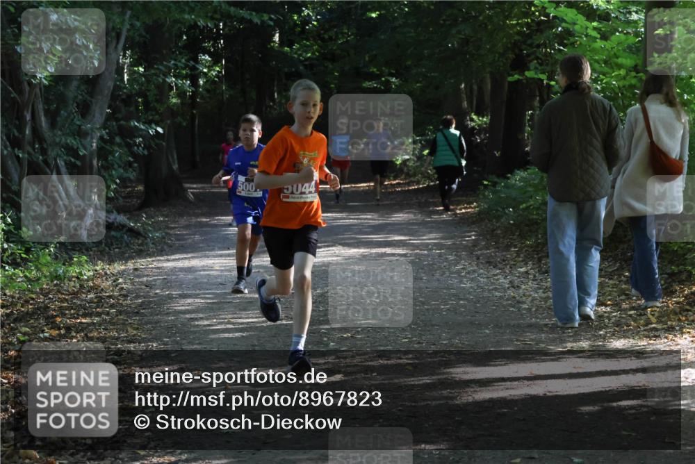 28.09.2025 - 33. Volkslauf durch das schöne Alstertal Strokosch-Dieckow http://msf.ph/oto/8967823 28.09.2025 10:44:24 Laufen 500, 5044 meine-sportfotos.de