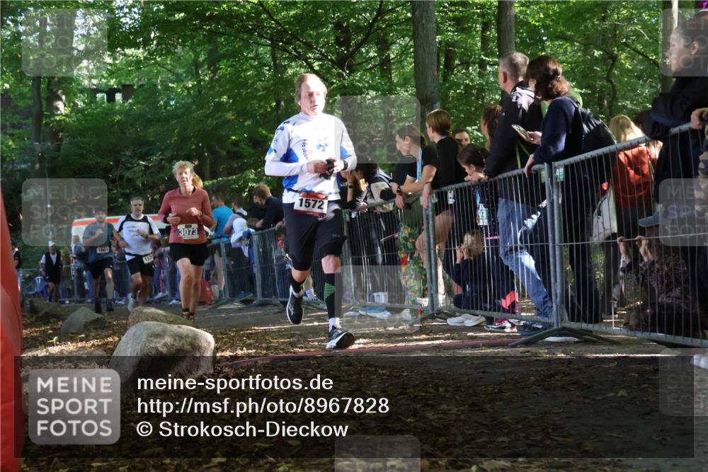 28.09.2025 - 33. Volkslauf durch das schöne Alstertal Strokosch-Dieckow http://msf.ph/oto/8967828 28.09.2025 11:45:59 Ziel 1564, 1572, 1578, 1601, 3073 meine-sportfotos.de