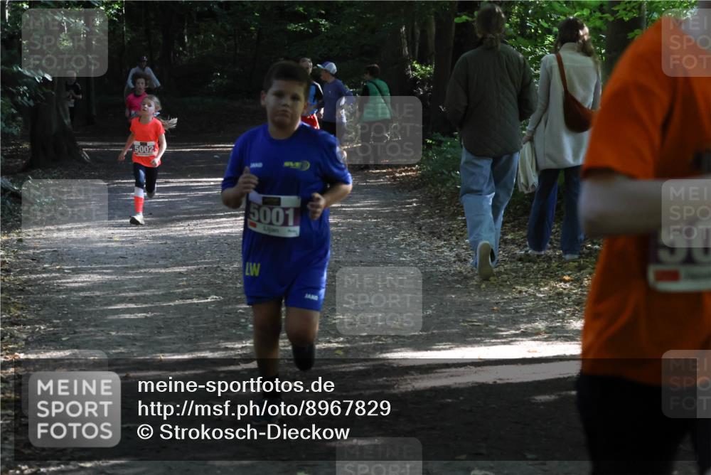28.09.2025 - 33. Volkslauf durch das schöne Alstertal Strokosch-Dieckow http://msf.ph/oto/8967829 28.09.2025 10:44:26 Laufen 5002, 5001, 50 meine-sportfotos.de