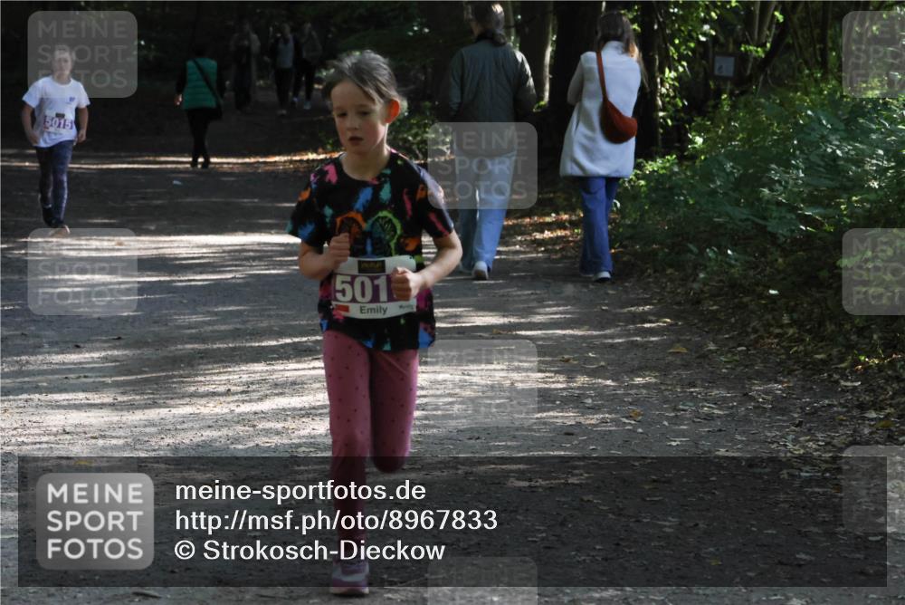 28.09.2025 - 33. Volkslauf durch das schöne Alstertal Strokosch-Dieckow http://msf.ph/oto/8967833 28.09.2025 10:44:41 Laufen 5015, 501 meine-sportfotos.de