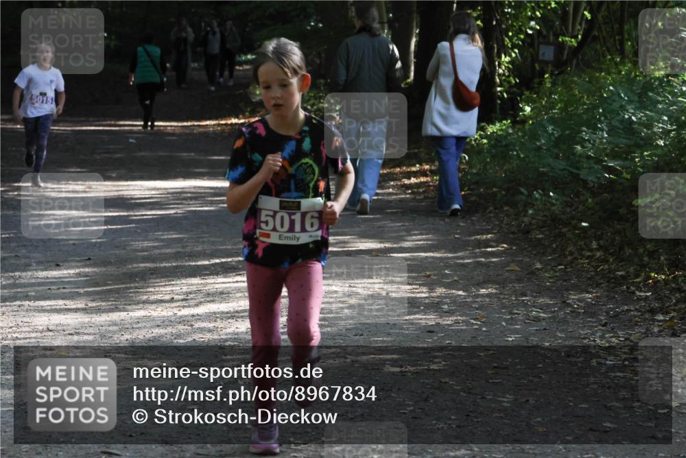 28.09.2025 - 33. Volkslauf durch das schöne Alstertal Strokosch-Dieckow http://msf.ph/oto/8967834 28.09.2025 10:44:41 Laufen 5015, 5016 meine-sportfotos.de