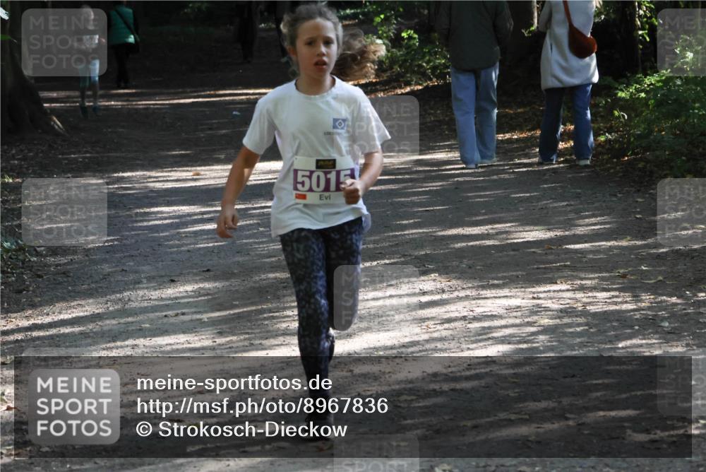 28.09.2025 - 33. Volkslauf durch das schöne Alstertal Strokosch-Dieckow http://msf.ph/oto/8967836 28.09.2025 10:44:45 Laufen 5015 meine-sportfotos.de