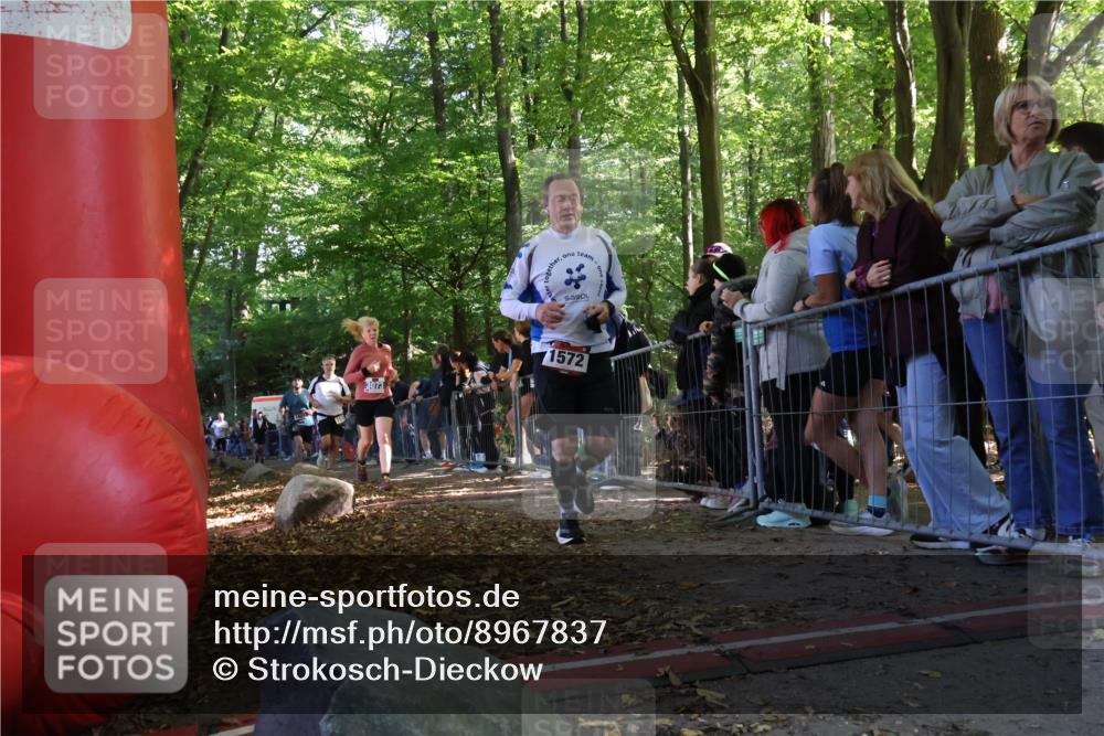 28.09.2025 - 33. Volkslauf durch das schöne Alstertal Strokosch-Dieckow http://msf.ph/oto/8967837 28.09.2025 11:46:00 Ziel 1564, 1572, 1578, 1589, 1601, 3073 meine-sportfotos.de