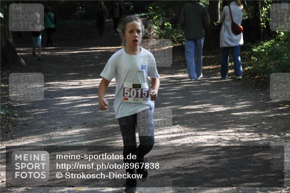 28.09.2025 - 33. Volkslauf durch das schöne Alstertal Strokosch-Dieckow http://msf.ph/oto/8967838 28.09.2025 10:44:46 Laufen 5015 meine-sportfotos.de