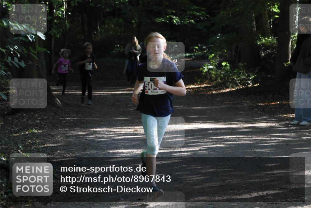 28.09.2025 - 33. Volkslauf durch das schöne Alstertal Strokosch-Dieckow http://msf.ph/oto/8967843 28.09.2025 10:44:52 Laufen 50 meine-sportfotos.de