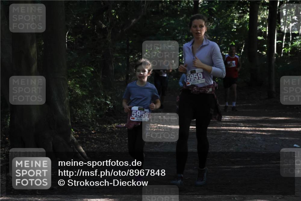 28.09.2025 - 33. Volkslauf durch das schöne Alstertal Strokosch-Dieckow http://msf.ph/oto/8967848 28.09.2025 10:45:12 Laufen 5958, 5959 meine-sportfotos.de